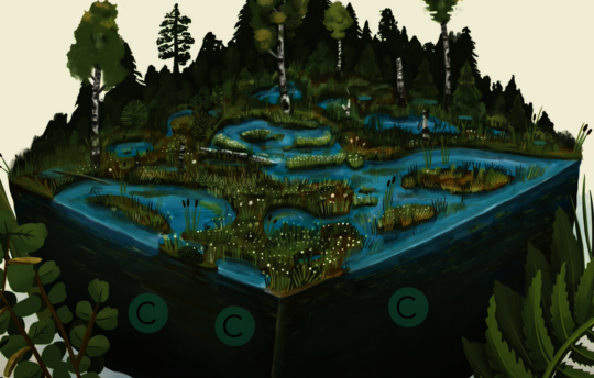 Intact peatland (Illustration/animation: S. Heuzeroth, L. Treise)