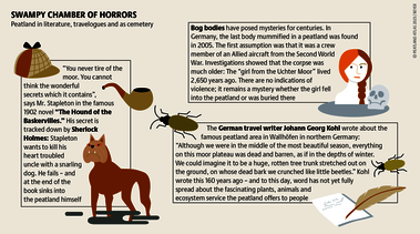 Myths about peatlands have always grown in people’s minds like bulrushes in peat. Source: Peatland atlas Böll/BUND/Succow-Stiftung