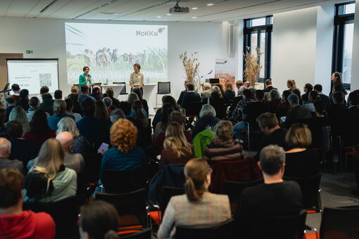 Plenum im TGZ in Schwerin zu Beginn der MoKKa-Abschlusstagung. Foto: Succow Stiftung/Stephan Busse 