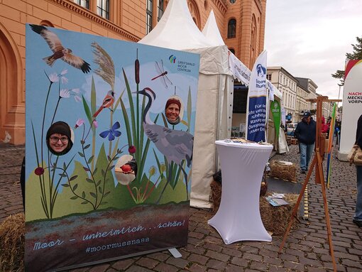 Archivfoto Tag der Deutschen Einheit 2024 / Michael Succow Stiftung