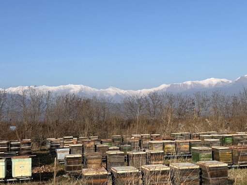 Besuch bei Honigproduzenten im Biosphärenreservat