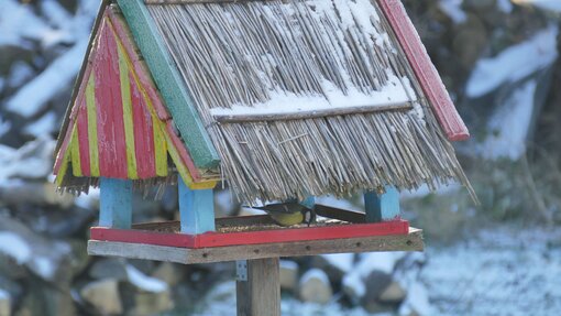 Vogelhausbeobachtung zur Stunde der Wintervögel auf der Insel Koos Foto: Michael Succow Stiftung