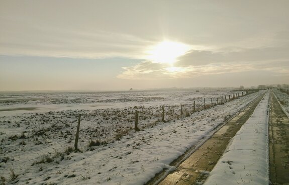 Winterliche Exkursion in die Karrendorfer Wiesen