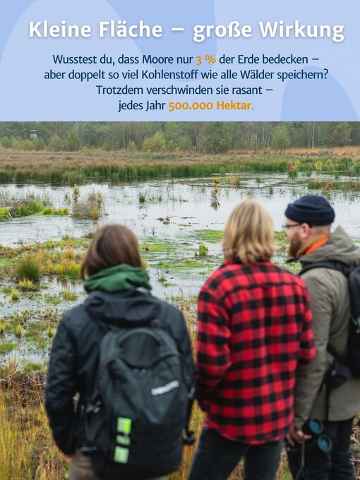 Kleine Fläche – große Wirkung. Foto: Stephan Busse