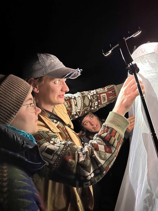 Linus Neufeld zeigt uns Nachtfalter im UV-Licht. Foto: B. Brockhaus
