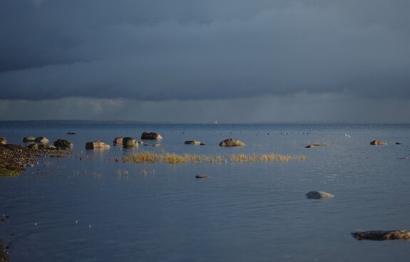 Insel-Koos-Kurztrip