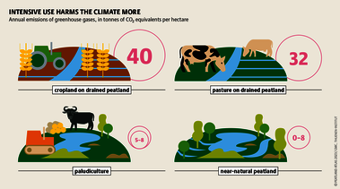 Harvesting biomass for heating and grazing water buffaloes: paludiculture makes a sustainable and profitable use of peatlands possible. Source: Peatland atlas Böll/BUND/Succow-Stiftung