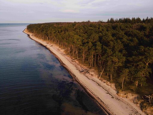 Küstenwald Lanken | Foto: J. Lessmann