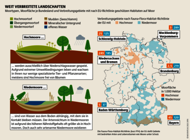 Fast alle intakten deutschen Hochmoore liegen in Naturschutzgebieten. Da die meisten zerstört wurden, ist ihre Fläche nicht groß. Quelle: Mooratlas Böll/BUND/Succow-Stiftung