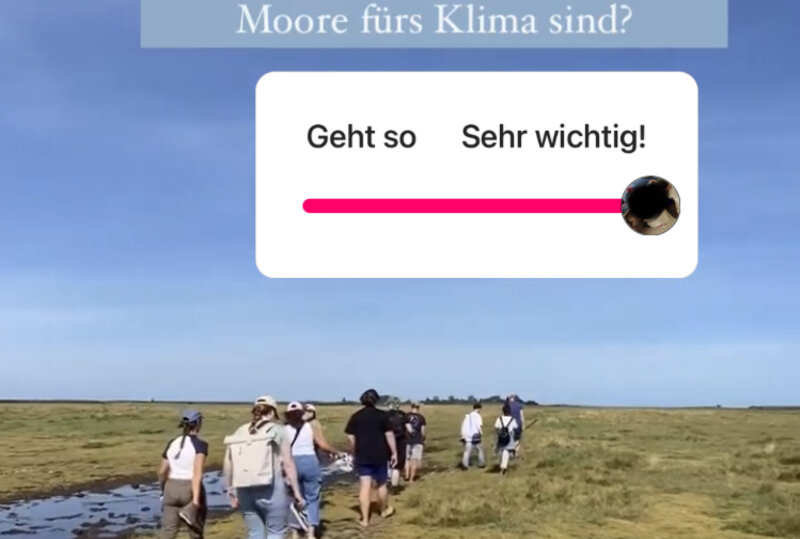 Beispiel Insta-Post der JugendKlimaRedaktion (Foto: T. Otsa) Beispiel Insta-Post der JugendKlimaRedaktion (Foto: T. Otsa)