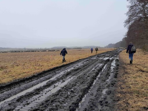 Aufgrund der Wetterlage waren die Bodenverhältnisse nicht einfach. Foto: L. Heinze / Michael Succow Stiftung