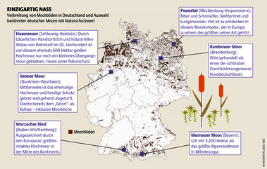 Einst bedeckten deutsche Moore eine Fläche groß wie Sachsen. 95 Prozent davon sind mittlerweile entwässert, abgetorft, bebaut oder landwirtschaftlich genutzt. Quelle: Mooratlas Böll/BUND/Succow-Stiftung