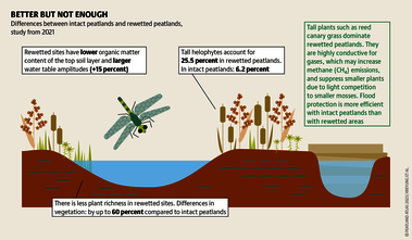 Rewetting? There is no alternative! But even rewetting can restore old conditions only to a limited extent. So a priority must be the preservation of intact areas. Source: Peatland atlas Böll/BUND/Succow-Stiftung