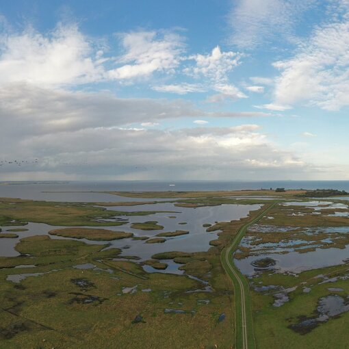 Restored coastal peatland Karrendorfer Wiesen (Foto: lensescape.de)