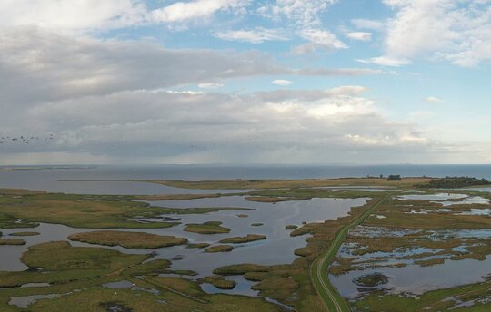 Restored coastal peatland Karrendorfer Wiesen (Foto: lensescape.de)