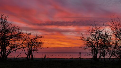 Bild: Friedrichscher Himmel über den Karrendorfer Wiesen im Januarlicht Foto: Inselstation Koos/ Michael Succow Stiftung