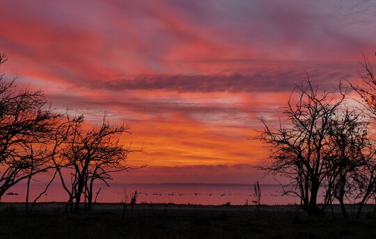 Bild: Friedrichscher Himmel über den Karrendorfer Wiesen im Januarlicht Foto: Inselstation Koos/ Michael Succow Stiftung