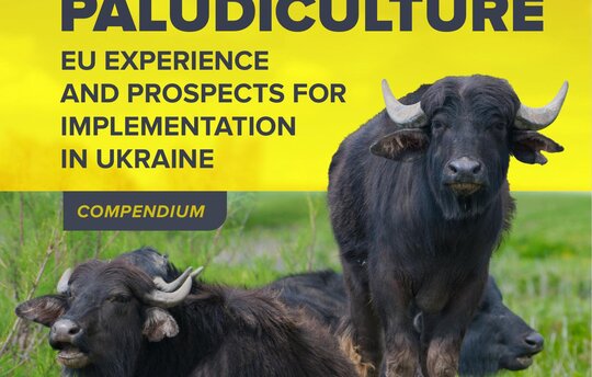 Cover: Paludiculture – EU Experience and Prospects for Implementation in Ukraine, 2024. © UNDP