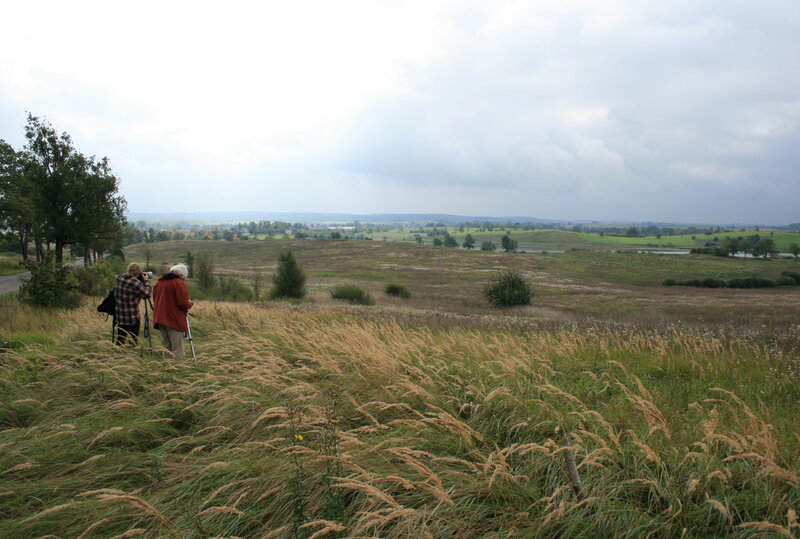 Schutzgebietsplanung Rominter Heide (Photo: Aleksej Sokolov)