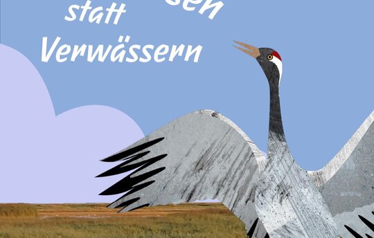 Vernässen statt Verwässern. Illustration: igel+ente