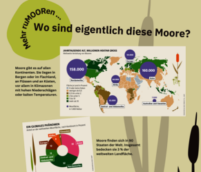 Plakat - Wo sind denn diese Moore eigentlich?