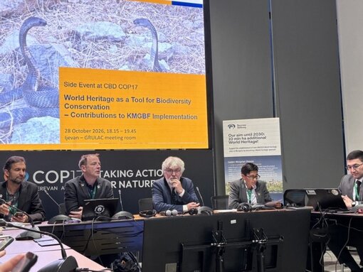 Side Event auf der CBD COP17: Weltnaturerbe als Instrument für den globalen Biodiversitätsschutz. Foto: N. Malazonia & J. Wunderlich / Michael Succow Stiftung