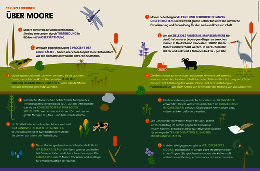 12 kurze Lektionen über Moore (Cover Mooratlas (bild: Succow Stiftung, Heinrich-Böll-Stiftung, BUND)