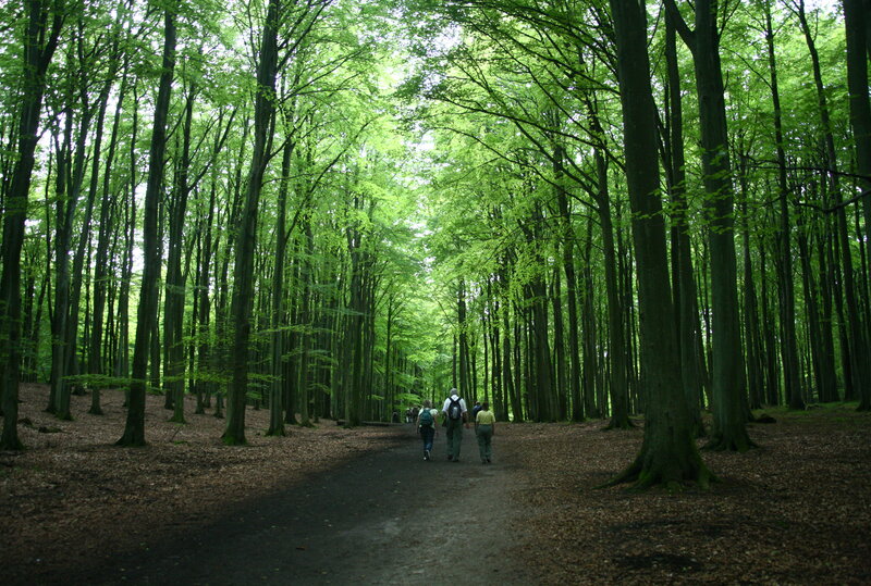 Naturbegehung auf Rügen (c) Stephan Busse