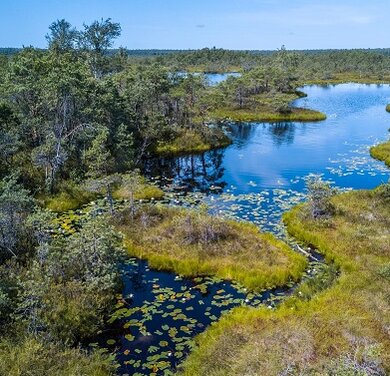 Naturpark Vishynetsky (Foto: S. Matskova)