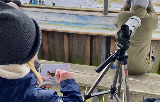 Die Natur und Vogelwelt der Karrendorfer Wiesen auf der circa dreistündigen Exkursion mit der Succow Stiftung erleben. 