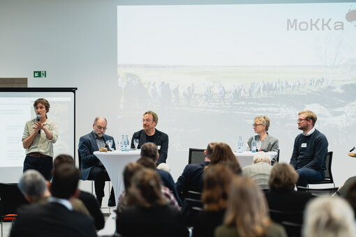 Diskussionsrunde mit (von links nach rechts): Ulf Hauke (Bundesministerium für Umwelt, Naturschutz, nukleare Sicherheit und Verbraucherschutz - BMUV), Lukas Landgraf (Landesamt für Umwelt Brandenburg), Prof. Sabine Schlacke (Institut für Energie-, Umwelt- und Seerecht, Universität Greifswald), Malte Ehrich (Ministerium für Klimaschutz, Landwirtschaft, ländliche Räume und Umwelt Mecklenburg-Vorpommern) zum Thema rechtliche Grundlagen und Beschleunigung der Moorwiedervernässung. Foto: Succow Stiftung/Stephan Busse 