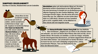 Moore als Märchenwald: In den Köpfen der Menschen wachsen seit jeher die Mythen über sie wie Rohrkolben im Torf. Quelle: Mooratlas Böll/BUND/Succow-Stiftung