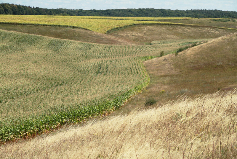 (c) P. Goriup/Agricola (c) P. Goriup/Agricola