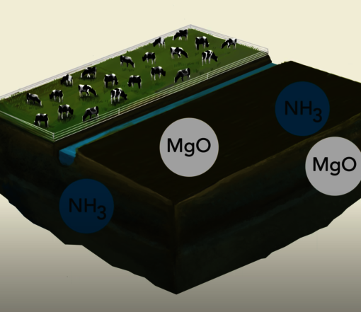 Emissions from drained peatland (Illustration/animation: S. Heuzeroth, L. Treise)