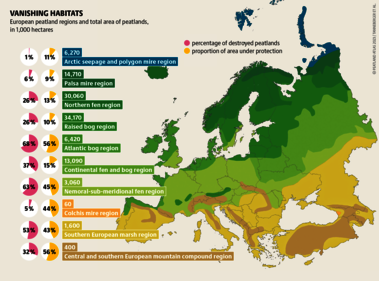 More than half of all pristine peatlands in Europe have been lost – and peatland degradation continues. Biodiversity is at stake. Source: Peatland atlas Böll/BUND/Succow-Stiftung