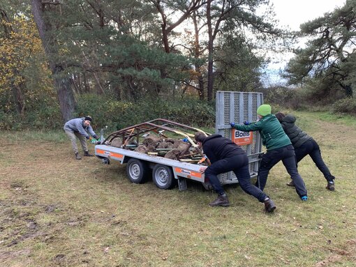 Powerteam: Mit vielen Händen war die Arbeit schnell erledigt.