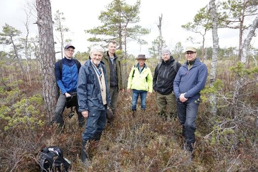 Gruppenfoto in einem weniger geschädigtemTeil von Leidissoo; von links nach rechts: Mihkel Järveoja (RMK), Mati Ilomets (Universität Tallinn), Ants Animägi (RMK), Michael Bellwinkel (PlanBe), Kaupo Kohv (RMK) und Kristjan Tõnisson (RMK). (Foto: A. Haberl)