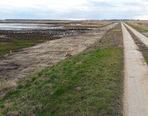 In den Karrendorfer Wiesen wird gebaut (Foto: Nina Seifert)