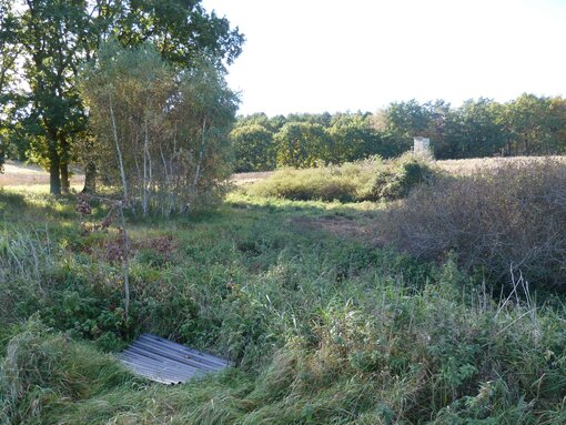 ‚Soll 2‘ vor Beginn der Maßnahme mit künstlichem Amphibienversteck im Vordergrund. Ein Amphibienexperte begleitete die Arbeiten und kontrollierte damit das Vorkommen empfindlicher Arten. © S. Volk / Michael Succow Stiftung