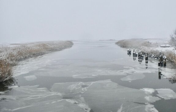 Winterliche Exkursion in die Karrendorfer Wiesen