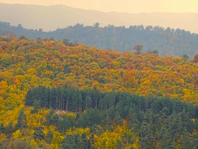 Dilijan Nationalpark © Dlijan Nationalpark