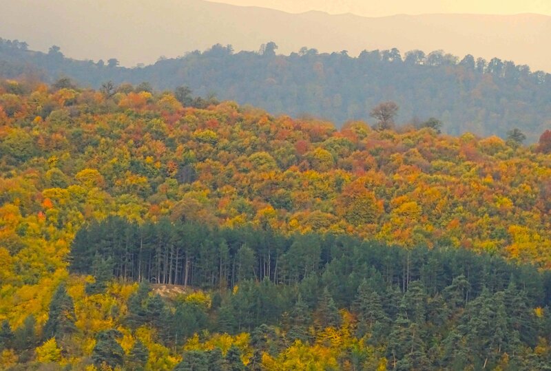 Dilijan Nationalpark © Dilijan Nationalpark