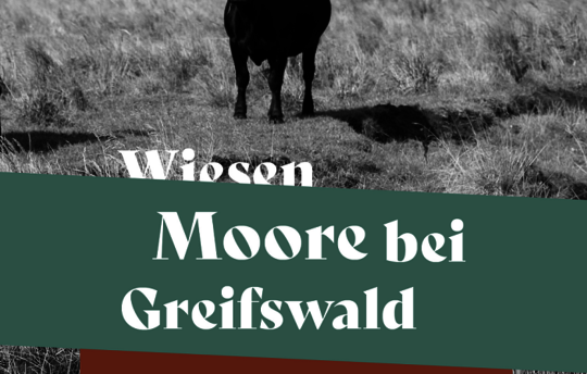 Titelbild Broschüre "Moore bei Greifswald"