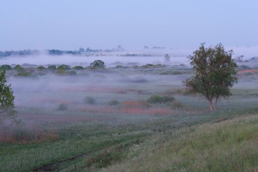 Faszination Moor – das Peene-Flusstalmoor (Vorpommern) in Morgenstimmung mit Nebelschwaden. Eingebettet in die Grundmoränenlandschaft ist es bis heute überwiegend in extensiver Nutzung oder Nutzungsauflassung. Foto: J. Reich