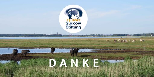 Blick von den Stiftungsflächen Karrendorfer Wiesen auf Greifswald. Foto: N. Seifert/ Michael Succow Stiftung