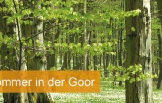 Sommer in der Goor
