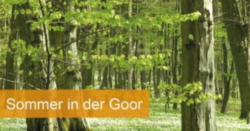 Sommer in der Goor