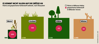 Obwohl Moore nur einen geringen Teil der Erde bedecken, speichern sie mehr Kohlenstoff als jedes andere Ökosystem. Quelle: Mooratlas Böll/BUND/Succow-Stiftung