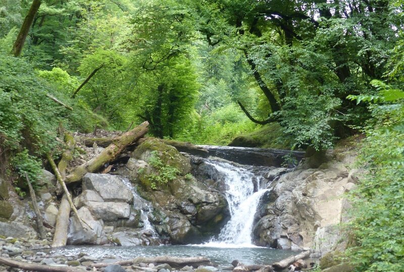 Wild river in Hirkan National Park (Photo by H. D. Knapp)