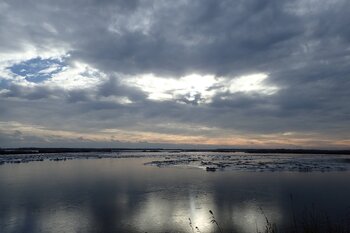 Hochwasser Insel Koos (c) Johanna Weisgerber